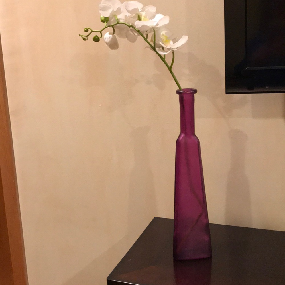 6/$15 Purple vase